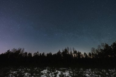 Estonya 'da kış ormanlarında gece manzarası, yıldızlı açık gökyüzü, manzara astrofotografı.. 