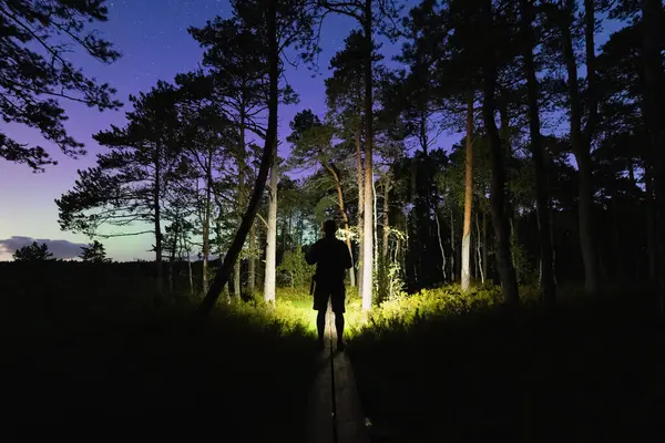 Kuzey ışıkları ve yıldızlı gökyüzü boyunca gece vakti Seli bataklığı boyunca ormanda feneri olan bir adamın silueti..