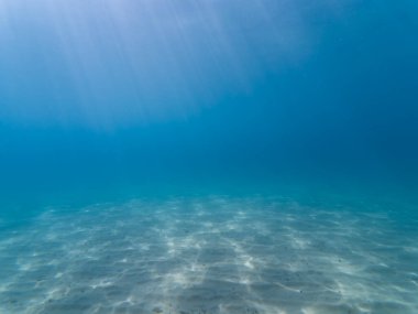 Underwater photo, azure sea with sandy bottom in the South of France. clipart