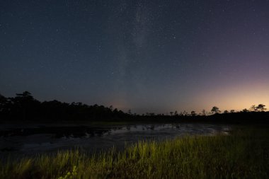 Astrophotography at the Estonian Seli swamp, stars, milky way and northern lights, the sky begins to brighten. clipart