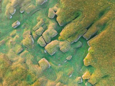 Estonya manzarası. Kostivere 'de yaz sabahı ünlü bir karst bölgesi. Hava aracı görünümü. 