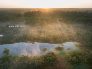 Estonya doğası, gün doğumunda Seli bataklığı, göllerden gelen sis, hava aracı görüntüsü..