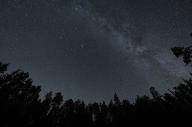 Astrofotoğrafçılık. Ağaçların siluetleri, yıldızlı gökyüzü ve Samanyolu. Gece ormanı. Taevaskoja. 