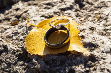 Bir erkekle kadının evlilik yüzüklerinin yakın plan çekimi canlı sarı bir sonbahar yaprağının üzerinde dokulu bir kayanın üzerinde durmaktadır.. 