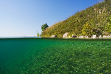 Split-level view of a tranquil lake, showcasing the beauty above and below the waterline. clipart