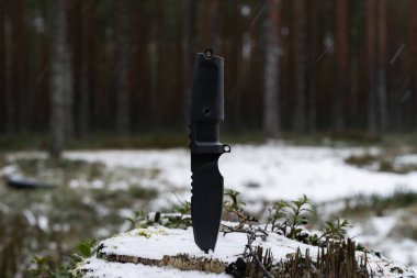 Sabit bir bıçak taktik bıçağı, kış ormanındaki bir kütüğe saplanır.. 