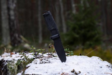 A fixed blade black tactical knife is stuck into a tree stump in a winter woodland.  clipart