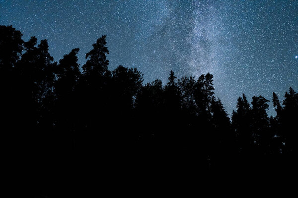 Таинственный ночной лес под звездным небом. Млечный Путь сияет над силуэтами деревьев, создавая волшебную атмосферу.