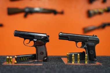 Baltık Devletleri 6 Ocak 2025. Sovyet silahları, TT tabancası ve Makarov başbakanı atış poligonunda. İllüstrasyon Editörü.