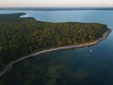 Estonya 'daki Pedassaar Adası' nın büyüleyici insansız hava aracı görüntüsü. Sabah güneşiyle yıkanmış ve Baltık Denizi tarafından yıkanmış..