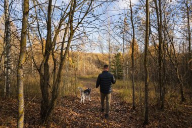 Genç bir adam, köpeğini bir sonbahar günü ormanda tasmayla gezdirir..