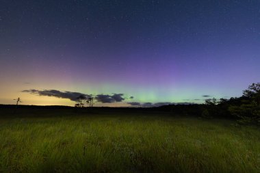 Kuzey Işıkları 'nın örtüsü altında Seli Bataklığı: Estonya' nın gizemli bataklığının üzerinde sayısız yıldız bulunan renkli bir gece gökyüzü. Yüksek kalite fotoğraf