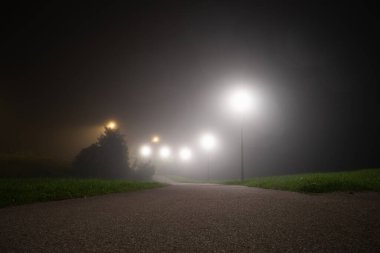 Estonya 'da Sisli Gece: Boş park yolu sisli bir gökyüzünün altında sokak lambalarıyla aydınlatıldı.