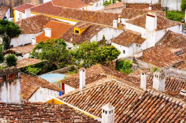 Obidos, Portekiz: kırmızı kiremitli çatılara gömülü, güçlendirilmiş duvarları, dar sokakları ve tarihi mimarisi olan büyüleyici bir ortaçağ kasabası..
