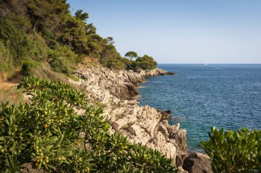  Nice, Fransa 'da yemyeşil ve masmavi suları olan pitoresk bir sahil manzarası..
