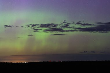 Kuzey ışıkları gizemli bir ormanın üzerindeki gece gökyüzünü aydınlatır..