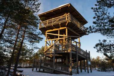 Virü bataklığı üzerinde ahşap gözlem kulesi, güneşli bir kış sabahı fotoğrafı..