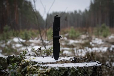 Bir taktik bıçağı kışın alacakaranlıkta ormanda bir kütüğe saplanır..