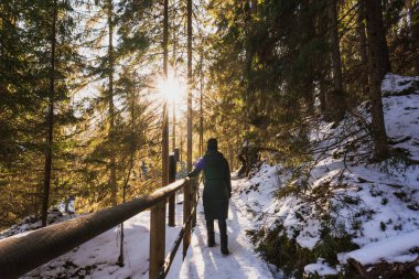 Bir kız kışın Taevaskoja parkında yürüyor, güneşin doğuşunda, arkadan çekilmiş bir fotoğraf..