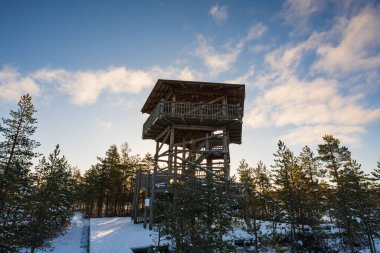 Viru raba bataklığı üzerinde ahşap gözlem kulesi, güneşli bir kış sabahı fotoğrafı..