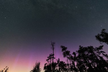 Gizemli aurora 'nın yıldızlar arasında dans ettiği, uyuyan bir ormanın üzerinde, kuzey gökyüzünün büyüleyici bir parıltısı..
