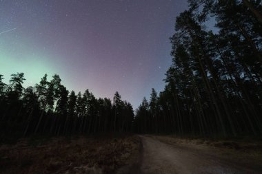 Gece vakti karanlık bir çam ormanının içinden yıldızlı bir gökyüzünün altında sönük bir aurora ile.