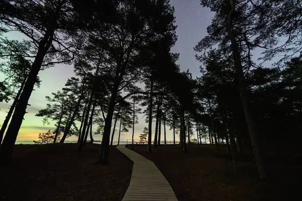 Çam ormanlarından geçen ahşap yol Estonya, Kaberneeme 'de denizin üzerinde sönük bir aurora borealis' e çıkar..