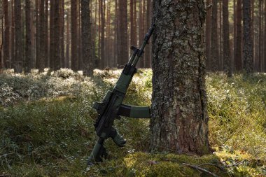 Günümüz saldırı tüfeği, güneşli bir ormanda, yosunların arasında bir çam ağacına yaslanıyor..