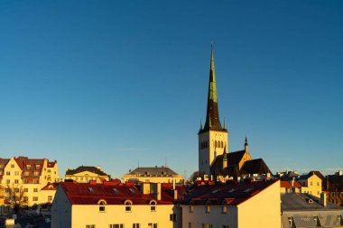 Eski Tallinn, Estonya 'nın şehri: sabah güneşinin altında çatılar ve Oleviste Kilisesi' nin kulesi.