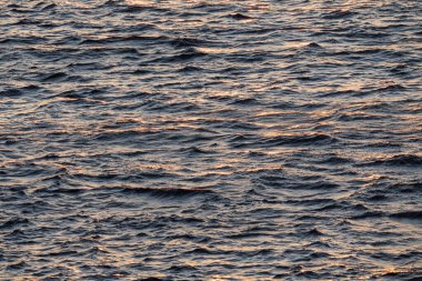 Dalgaların üzerinde altın güneş ışıkları olan koyu su yüzeyinin fotoğrafı; güzel doğal arka plan veya doku.