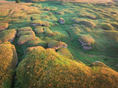Aerial View: Estonya 'da Macera - Husky köpeğiyle birlikte eşsiz Kostivere karst manzarasını keşfediyor.