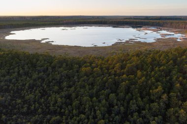 Estonya 'daki sakin Seli Gölü' nün hava aracı görüntüsü, sık orman ve gün batımlarıyla çevrili..