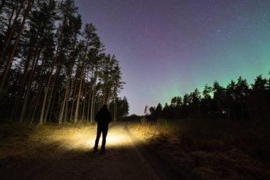 Estonya ormanlarında esrarengiz bir gece. Yıldızlı bir gökyüzünün altında feneri olan ve Kuzey Işıkları 'nın soluk parıltıları olan biri..
