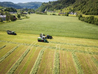 Norveç 'teki yem toplama sürecinin insansız hava aracı görüşü: tarım makineleri yazın yeşil bir Norveç tarlasında çim topluyor.