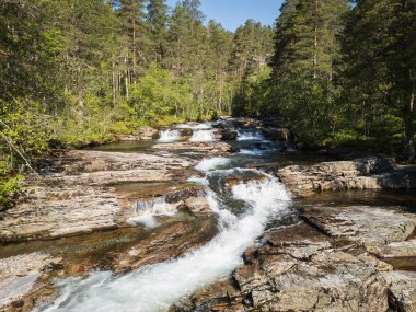 Scenic Forsaleden nehri, Pilgrimstad, İsveç: bereketli bir ormandaki kayalık çıkıntıların üzerinden akan günışığı şelaleleri.