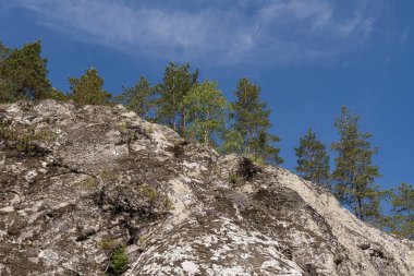 Norveç 'in görkemli uçurumları: açık mavi gökyüzüne karşı liken ve esnek çam ağaçlarıyla kaplı dokulu taşlar. Güneşli bir günde vahşi İskandinav doğası.