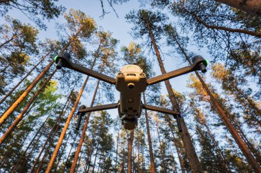 Karbon fiber kolları olan modern bir insansız hava aracının alçak açılı görüntüsü yüksek çam ağaçlarının altında uçuyor..