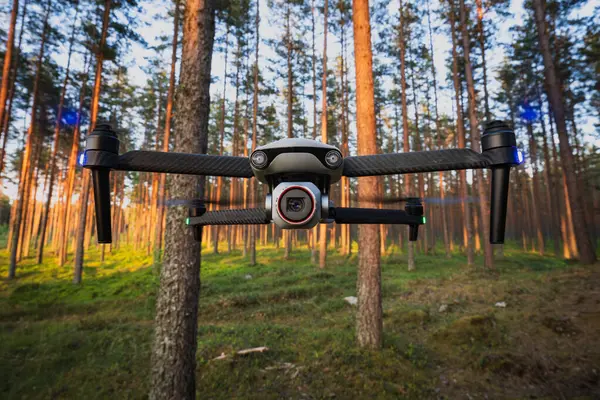 Çam ormanlarında uçan kameralı modern kuadkopter, hareket halindeki pervaneler, doğanın ve ağaçların arka planına karşı havadan görüntü teknolojisi..