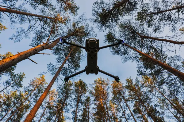 Çam ağacının tepesinde ışık saçan modern bir kuadkopter drone, sabah gökyüzüne karşı bir alt görünüm..