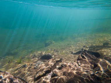 Net bir Norveç nehrinin sualtı manzarası: güneş ışınları suyu delip kayalık zemini aydınlatıyor. Dokunulmamış İskandinav doğasının güzelliği.
