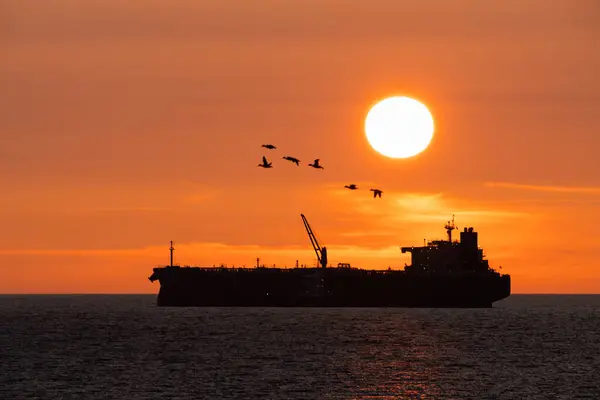 Zıtlıkların ahengi: bir endüstri devi okyanus boyunca yolculuğuna devam ederken, özgür kuşlar güneşin mükemmel diskini geçip gidiyorlar..