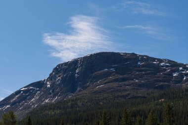 Uçurumlarında kar kalıntıları olan görkemli kayalık dağ ve açık güneşli bir günde ayağında yoğun kozalaklı bir orman, Norveç.