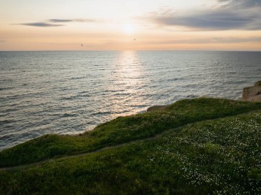 Estonya 'daki Baltık Denizi' nin kayalık sahillerinde huzurlu bir günbatımı. Çiçeklerle kaplı yeşil bir uçurumdan, suyun üzerindeki güneşe bakan muhteşem bir manzara..