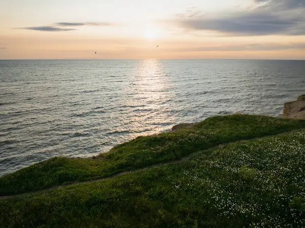 Estonya 'daki Baltık Denizi' nin kayalık sahillerinde huzurlu bir günbatımı. Çiçeklerle kaplı yeşil bir uçurumdan, suyun üzerindeki güneşe bakan muhteşem bir manzara..