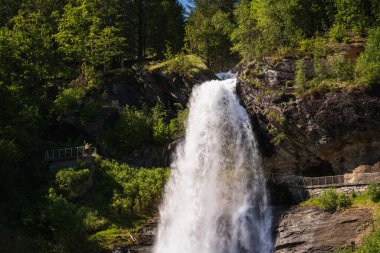 Güçlü bir şelale, Norveç 'in güzel topraklarında güneşli bir yaz gününde yemyeşil bir ormanda kayalık bir vadiden aşağı dökülür..