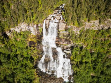 Norveç Svandalsfossen şelalesinin nefes kesen insansız hava aracı görüntüsü: Yoğun bir çam ormanının tam göbeğindeki kayalıklardan aşağı güçlü çağlayan sular.