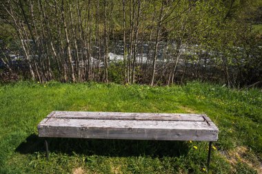 Yeşil çimlerin üzerinde dinlenmek için eski ahşap bir bank, karahindiba ile, ağaçların bir arka planı ve hızlı bir dağ nehri.
