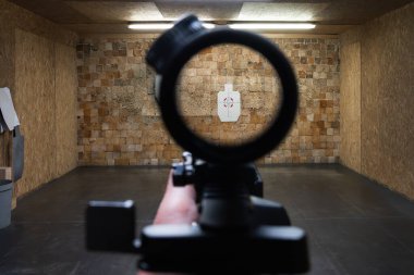 Atış poligonundaki bir hedefe tüfeğin optik görüşünden birinci şahıs görüş. Eğitim, doğruluk, odaklanma ve çekim kavramı.