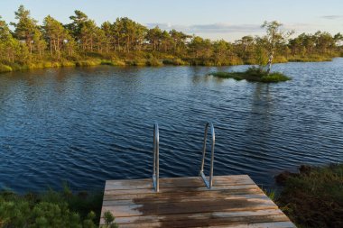 Gün batımında sakin ve sakin bir bataklık gölünde yüzmek için merdiveni olan ahşap bir iskeleye sahip huzurlu bir yaz manzarası..