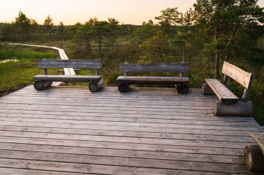 Bir yaz günü günbatımında Estonya bataklığında ekolojik bir yolun izleme platformunda dinlenmek için ahşap banklar..